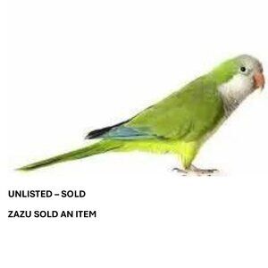 🦜UNLISTED ITEM FROM MEL'S CLOSET🦜